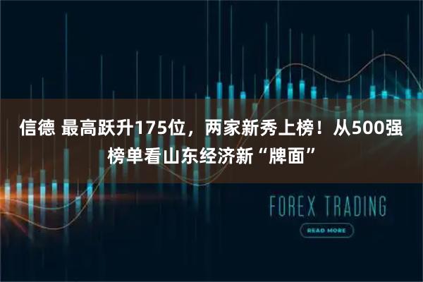 信德 最高跃升175位，两家新秀上榜！从500强榜单看山东经济新“牌面”