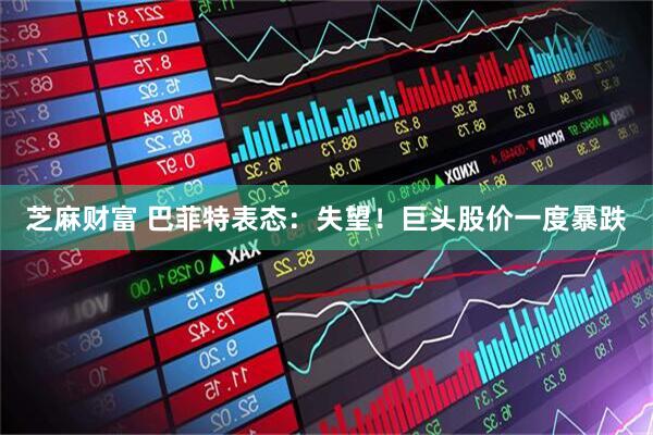 芝麻财富 巴菲特表态：失望！巨头股价一度暴跌