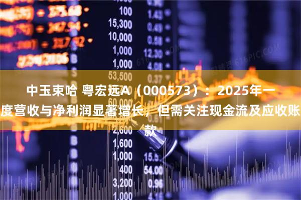 中玉束哈 粤宏远A（000573）：2025年一季度营收与净利润显著增长，但需关注现金流及应收账款