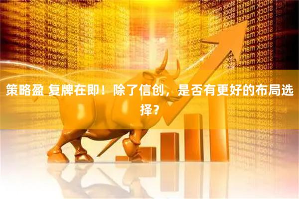 策略盈 复牌在即！除了信创，是否有更好的布局选择？