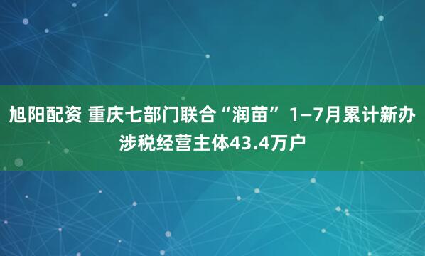 旭阳配资 重庆七部门联合“润苗” 1—7月累计新办涉税经营主体43.4万户
