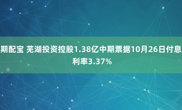 期配宝 芜湖投资控股1.38亿中期票据10月26日付息 利率3.37%