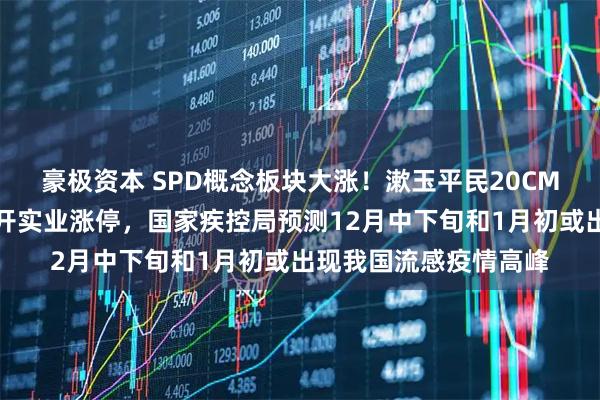 豪极资本 SPD概念板块大涨！漱玉平民20CM涨停，人民同泰、开开实业涨停，国家疾控局预测12月中下旬和1月初或出现我国流感疫情高峰