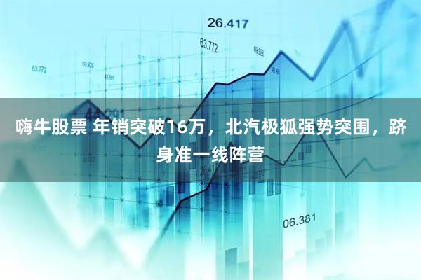 嗨牛股票 年销突破16万，北汽极狐强势突围，跻身准一线阵营