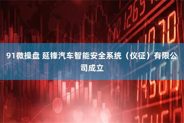 91微操盘 延锋汽车智能安全系统（仪征）有限公司成立