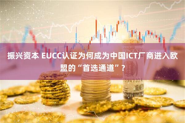 振兴资本 EUCC认证为何成为中国ICT厂商进入欧盟的“首选通道”？