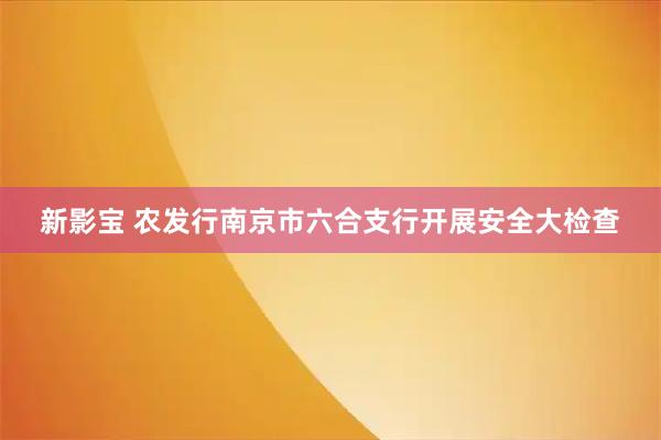新影宝 农发行南京市六合支行开展安全大检查