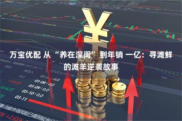万宝优配 从 “养在深闺” 到年销 一亿：寻滩鲜的滩羊逆袭故事