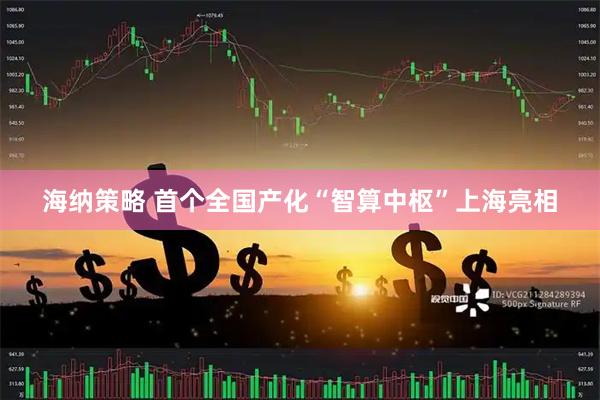 海纳策略 首个全国产化“智算中枢”上海亮相