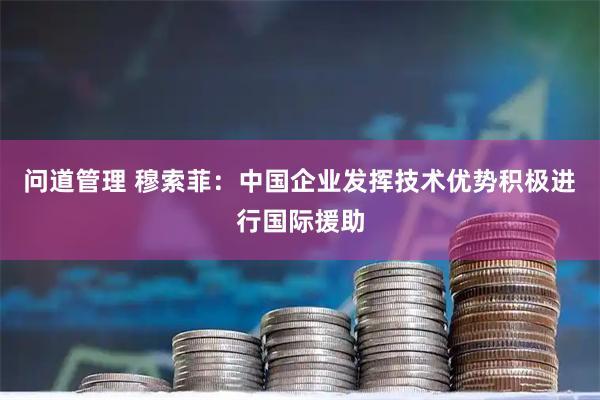 问道管理 穆索菲:中国企业发挥技术优势积极进行国际援助