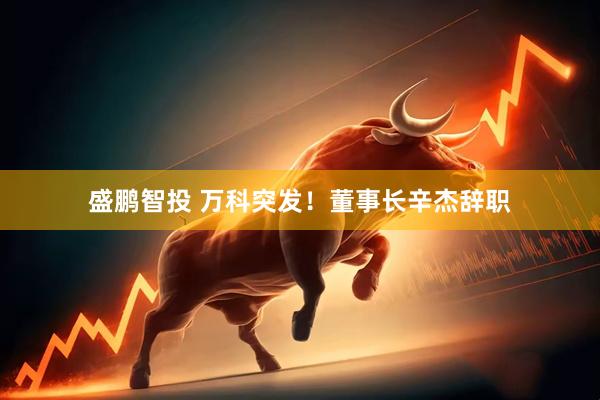 盛鹏智投 万科突发！董事长辛杰辞职